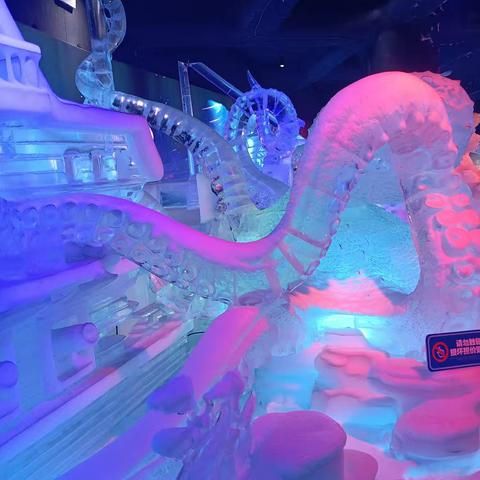 奇妙的冰雪之旅