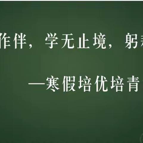 择一业坚守 赏一路繁花       —“青春作伴，学无止境，躬耕润竹”通顺街回民小学寒假培优培青活动之观课学习