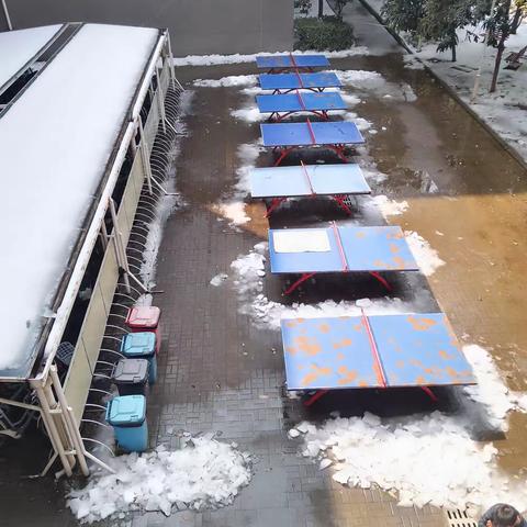 八（10）班学雷锋志愿         服务活动                 铲校园乒乓球场的积雪