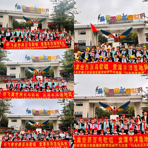 探秘飞鸟王国，寻踪湿地之美 ‍三年级2025-2026第一学期研学活动