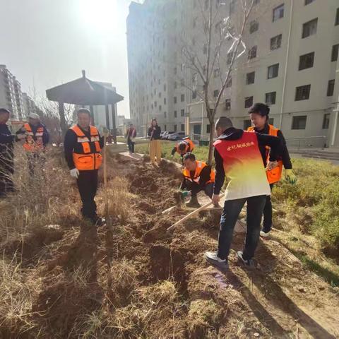 世纪铜城物业公司党建引领 积极开展人居环境整治