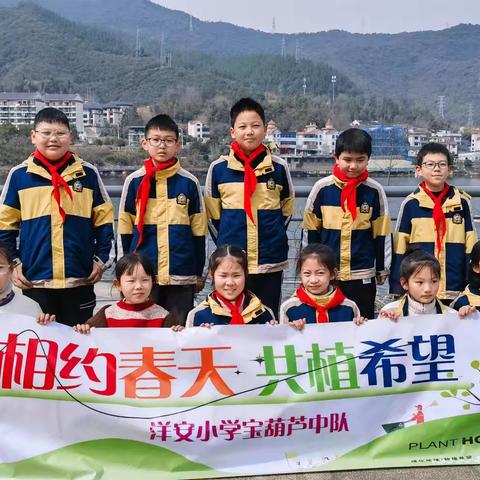 植一抹新绿，赴春天之约——洋安小学406班宝葫芦中队橙蓝小队植树节实践活动