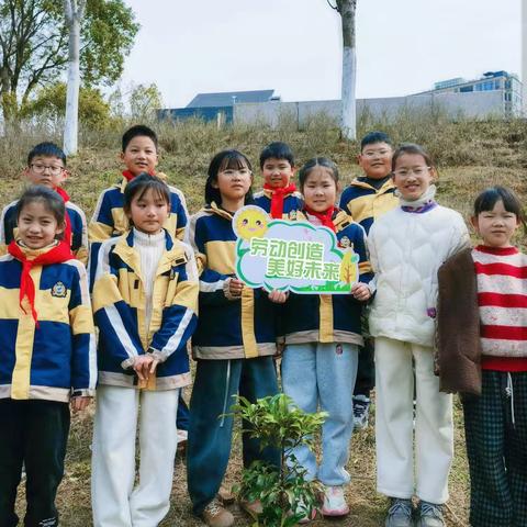 以劳动之光，照亮美好未来——洋安小学406班宝葫芦中队橙蓝小队五一劳动节实践活动