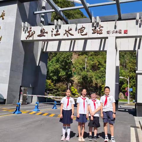 红领巾爱实践——洋安小学四（6）班宝葫芦中队暑期实践活动