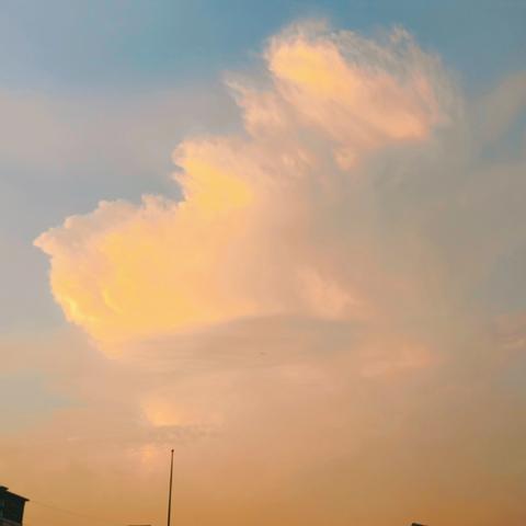 在交流中成长——临沂第四十中学班主任论坛心得感悟