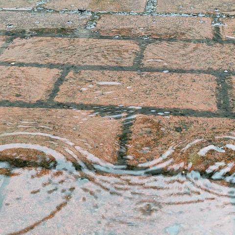 故事的开头是“军训”——2023级新生军训纪实第三天