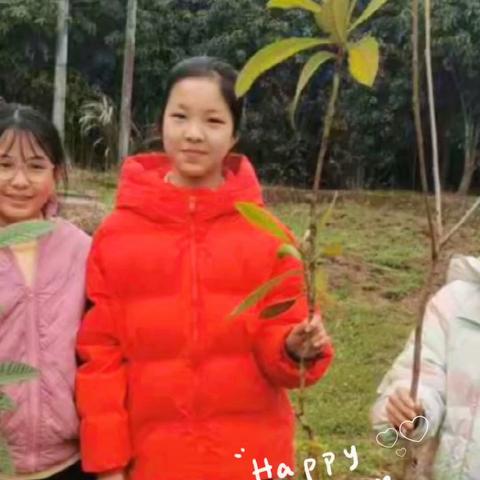 我与绿色共成长-洋安小学504班植树节活动