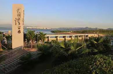 用脚步丈量世界 以阅读点亮梦想 ——云开八班第3小组“千园联动 美创生活”深圳湾公园综合实践活动