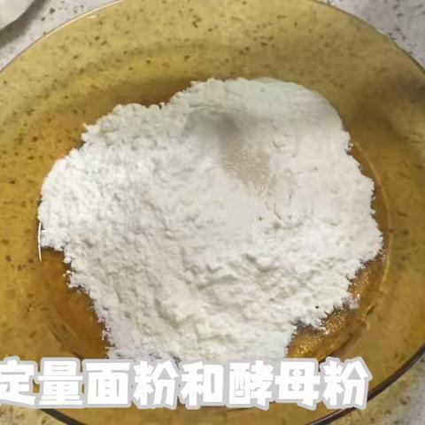 497吴超烨生物暑假实践作业总汇