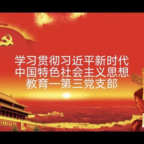 第三党支部集中学习贯彻习近平新时代中国特色社会主义思想主题教育