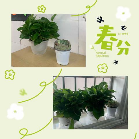 居书香雅室 育满园馨香——炯伟小学校园卫生评比纪实