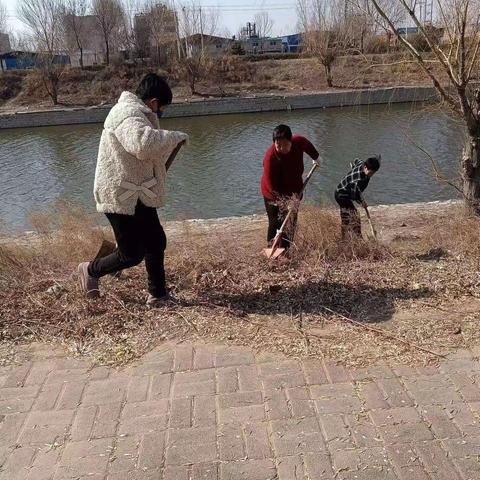 寿山寺镇河道治理