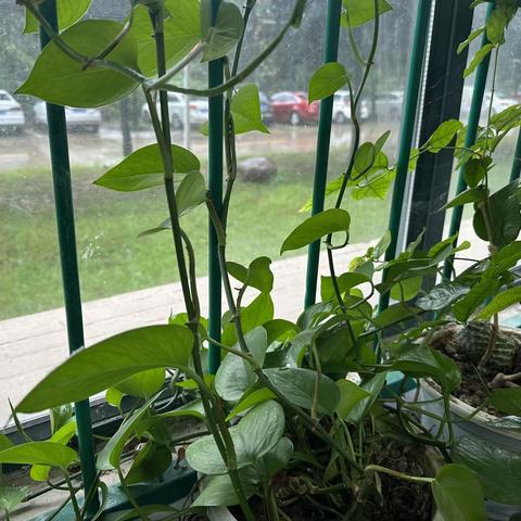 有一种窃喜叫军训下雨——23数铣班和23模具班军训第二天