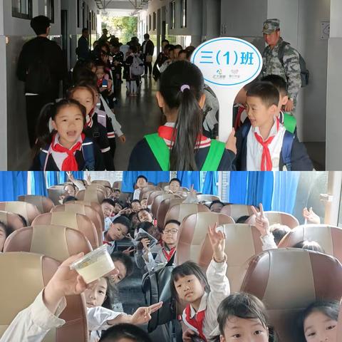 秋日农耕乐，童趣满田园 --  金华市青春小学三（1）班秋季研学活动