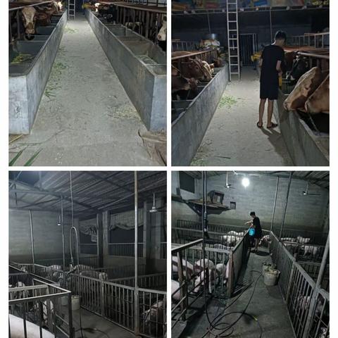 暑假记录：实验中学275班唐秀武