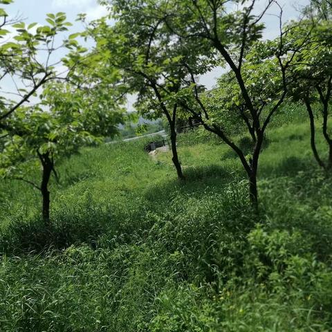 好好爱自己吧，记住且留恋这一天——2024年1月22日