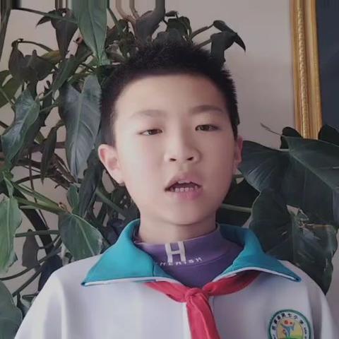 大家好，我是景泰县第七小学六年级二班的张楷昌，今天我给大家分享的书是《盗墓笔记》