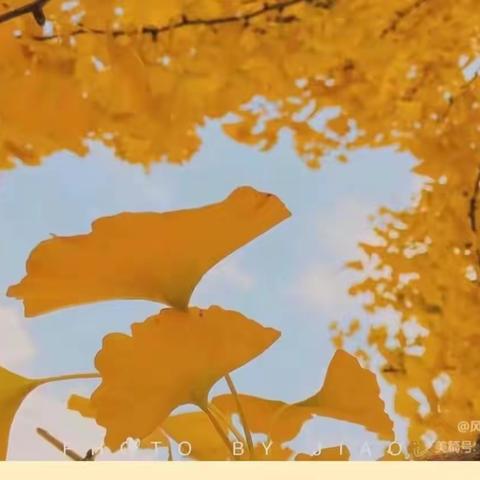 满载收获    砥砺前行——2023年南雄市初中数学教师全员轮训第三天纪实