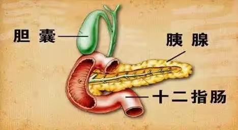 春节将近，您一旦出现5个症状，十有八九是胰腺炎！