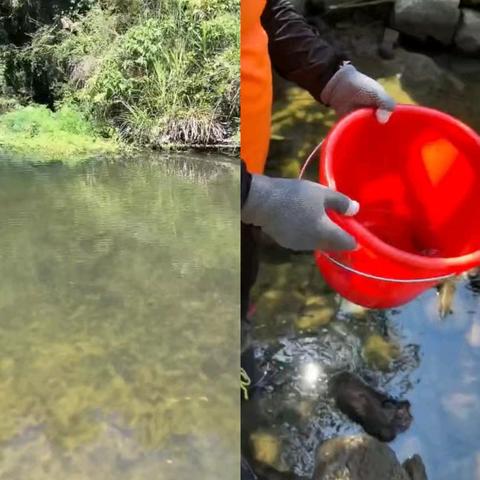 小田螺的奇妙生活