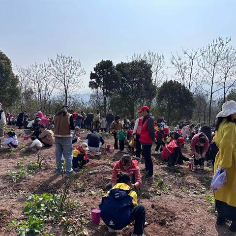 绿意义乌，植树添福，“树”写春天——3.10号北苑小学201班郑一晗同学在义乌赤岸镇南旺溪村种下希望的树苗为春天充“植”