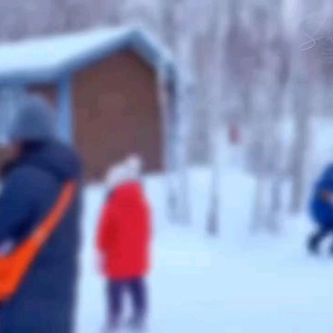 去中国最北的漠河，给孩子一场会发光的童年记忆✨ 【童话北极5日】 ✈哈尔滨集散