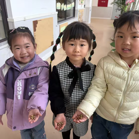 植此春色——乐享“豆”趣 ——小一班课程故事