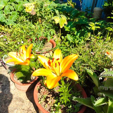 国庆中秋假期里的第一份惊喜!