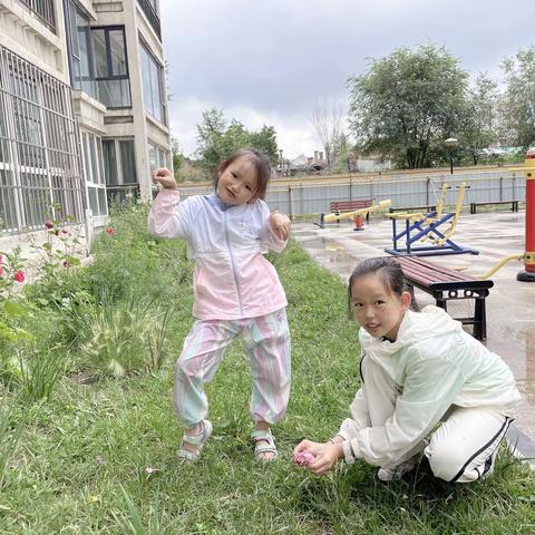 王悦萱   家庭卫生人人有责