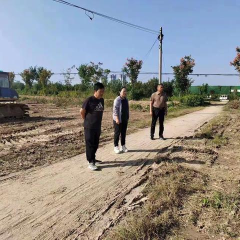 陈王街道：打好“单产提升”组合拳  着力提升粮油生产能力