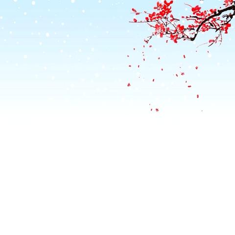 金融知识进万家，守护权益暖民心——潍坊农商银行青岛西海岸支行营业部开展宣传活动