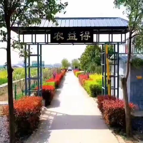 我在襄城农益得农场有只鸡