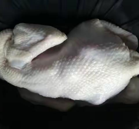 20220517陈俊奇德育作业