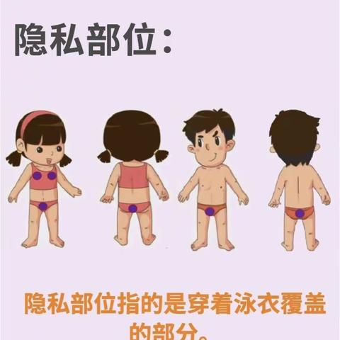 长青小学：利剑护蕾，雷霆行动——致家长的一封信