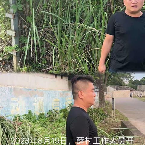 城西镇薛村禁止焚烧秸秆及槟榔土法熏烤巡查工作简报