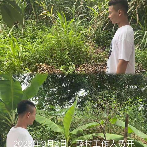 城西镇薛村禁止焚烧秸秆及槟榔土法熏烤巡查工作简报