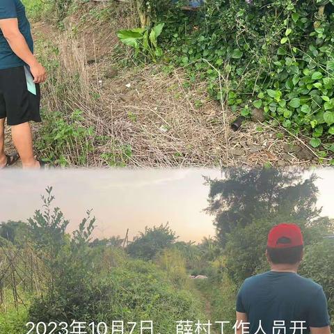 城西镇薛村禁止焚烧秸秆及槟榔土法熏烤巡查工作简报