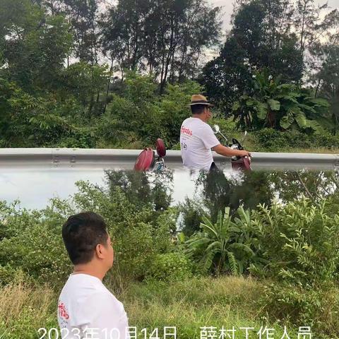 城西镇薛村禁止焚烧秸秆及槟榔土法熏烤巡查工作简报