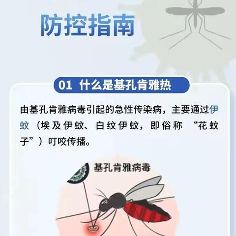 井德金泰幼儿园防蚊虫指南