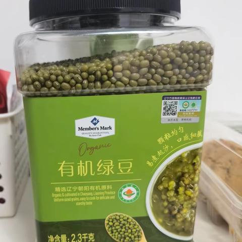 【水培绿豆芽🌱观察成长日志】