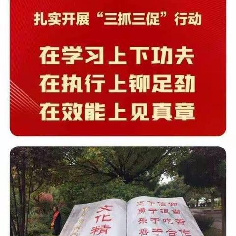 双向同奔赴，携手筑未来 ——七年级20班驻校家长纪实