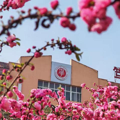 韶华不负，青春远航—长治十五中初二287班