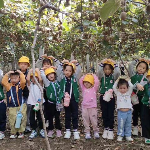 我们的甜“猕”🥝约会——9月27日（周五）大自然研学课程进行中……