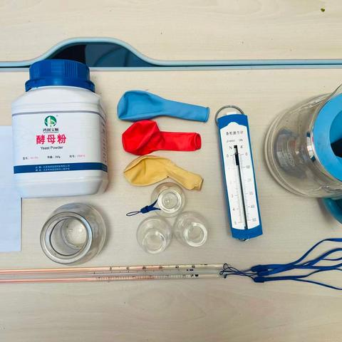 微生物对环境的选择（小卢）