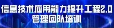 凤阳县淮滨小学小学信息技术2.0活动