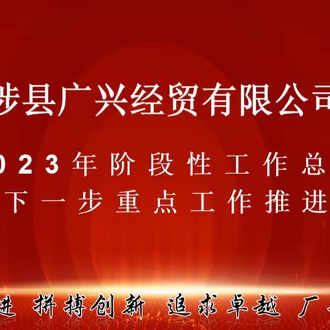 2023年阶段性工作总结及下一步重点工作推进会