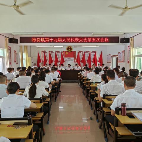 株良镇第十九届人民代表大会第五次会议胜利召开
