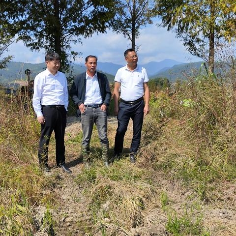 副县长艾胜群深入株良镇督导油菜种植情况