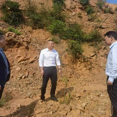 县委副书记杨越武深入株良镇调研油茶种植和油菜种植工作