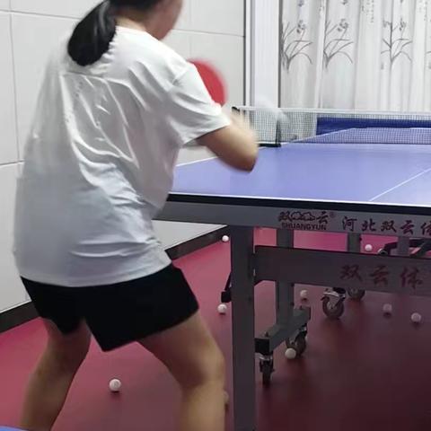 2024 张馨的暑假生活
